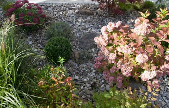 Pflege von Pflanzenbeeten aus Immenstadt