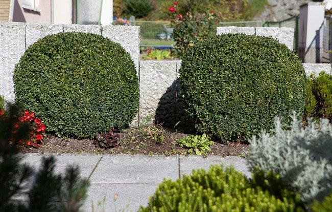 Jimmy Rädler Minibaggerarbeitenr