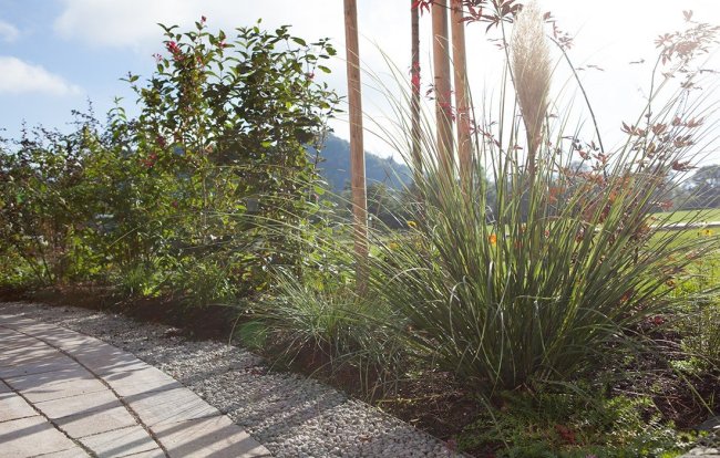 Jimmy Rädler Hochbeetbau und Pflanzung