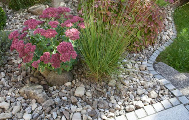 Jimmy Rädler Minibaggerarbeiten