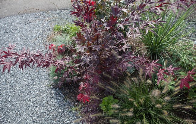 Rasensaat im Allgäu - Jimmy Rädler