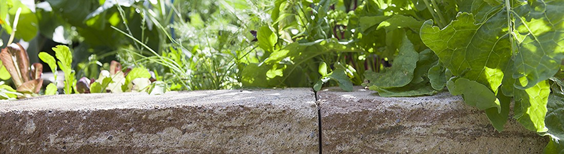Jimmy Rädler Garten und Landschaft
