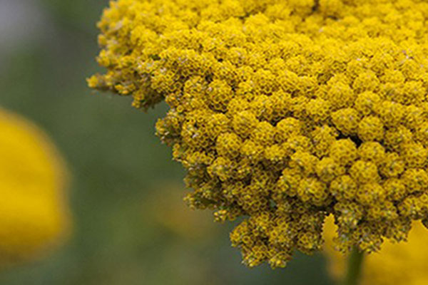 Jimmy Rädler Garten und Landschaft